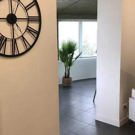 דירה Qualite 4 Etoiles Dans Un Partage Frouzins